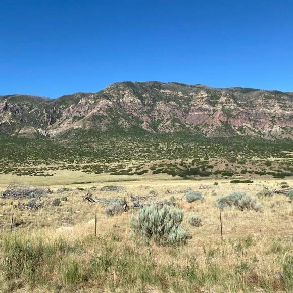 Meet your Posher, Laura - Picture 1 of 1